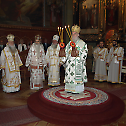 Мајска скупштина обележена у Сремским Карловцима