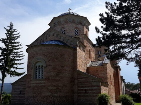 20220605_161109_resize_resize