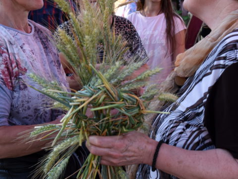 DSC_6329_edit_110973419269332_resize