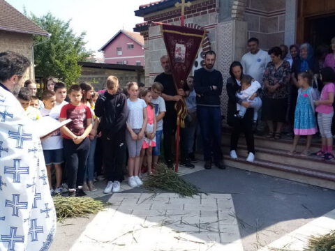 IMG-489c39d05dae62a03ce77a56365c7ec3-V_resize