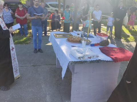 IMG-7dabee572a8aad3a6a4a26972c5e2b59-V_resize