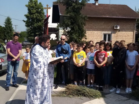 IMG-8b3e1e271e1f009076c8aeb3fbbca0a2-V_resize