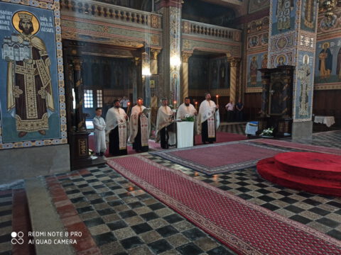 IMG_20220601_185208_resize