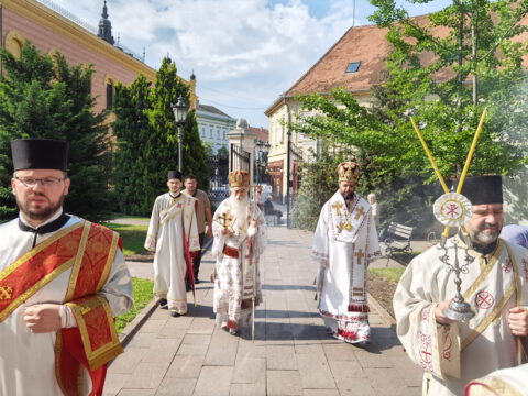 IMG_20220602_085651_resize