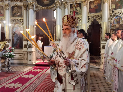 IMG_20220602_091217_resize