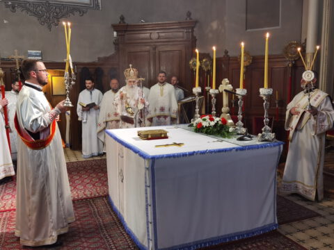 IMG_20220602_091319_resize