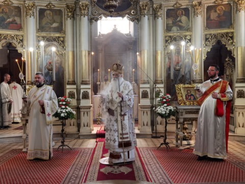 IMG_20220602_091516_resize