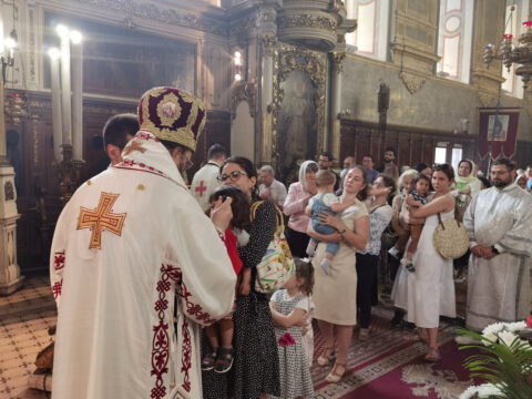 IMG_20220602_110335_resize