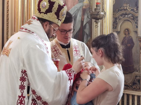 IMG_20220602_110407_resize