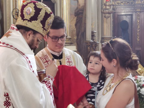 IMG_20220602_110438_resize