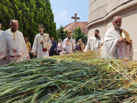 IMG_20220602_111532_resize