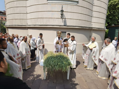 IMG_20220602_111646_resize