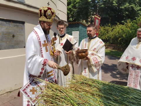 IMG_20220602_111706_resize