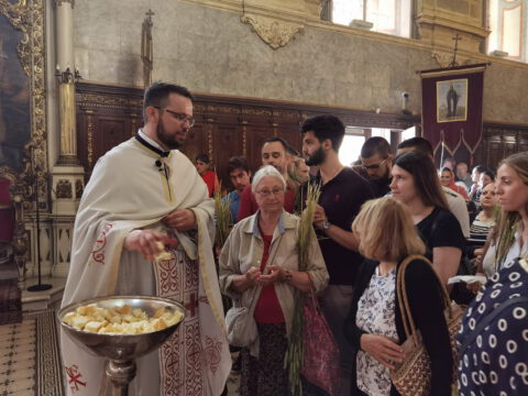 IMG_20220602_112522_resize