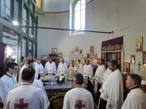 IMG_20220602_182603_resize