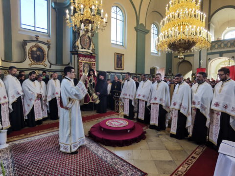 IMG_20220602_183155_resize