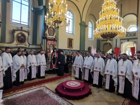 IMG_20220602_183249_resize