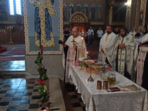 IMG_20220602_183421_resize