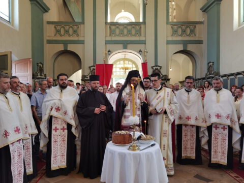 IMG_20220602_185438_resize