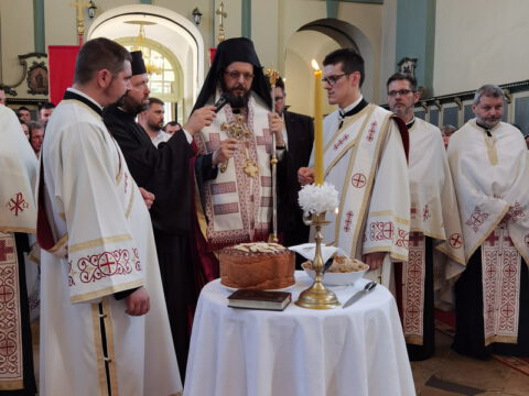 IMG_20220602_185703_resize