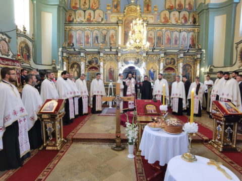 IMG_20220602_191623_resize