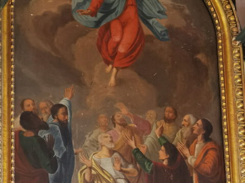 IMG_20220602_191950_resize