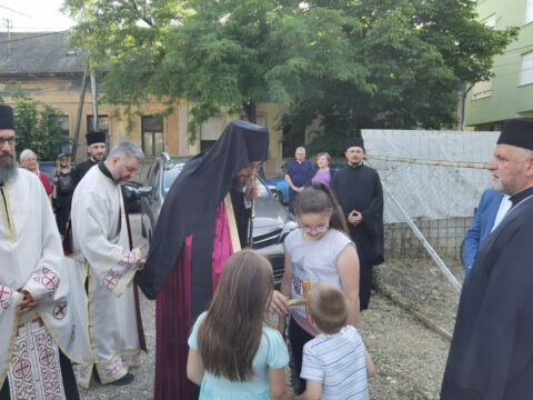 IMG_20220603_175435_resize