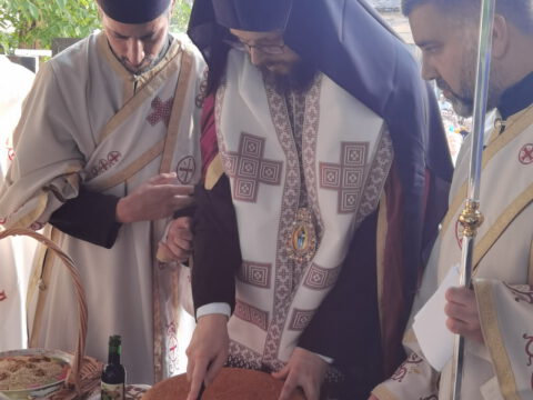 IMG_20220603_182148_resize