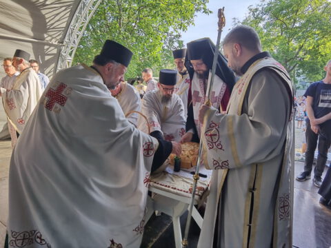 IMG_20220603_182412_resize