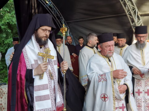 IMG_20220603_184232_resize