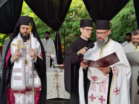 IMG_20220603_184311_resize