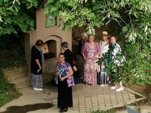 IMG_20220606_175545_resized_20220607_103538098_resize_resize