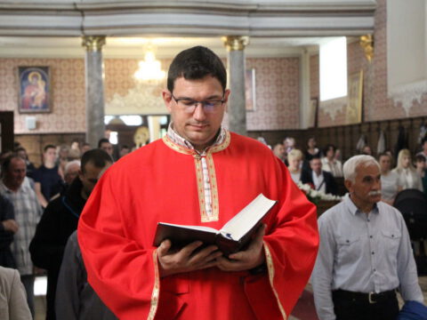 IMG_6201_resize_resize