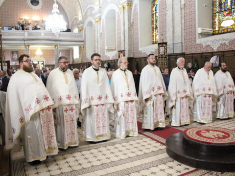 IMG_6205_resize_resize