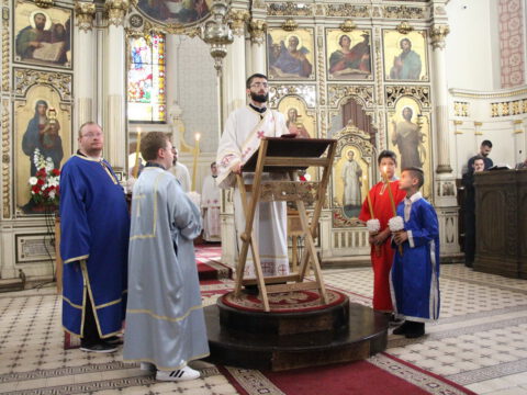 IMG_6211_resize_resize