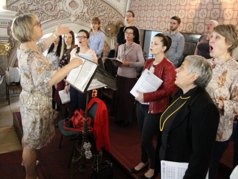 IMG_6230_resize_resize