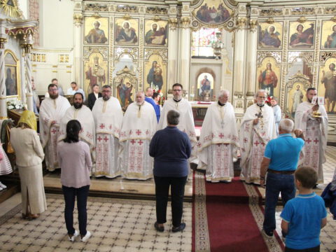 IMG_6241_resize_resize