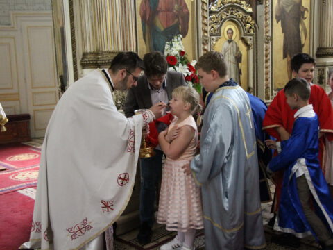 IMG_6279_resize_resize