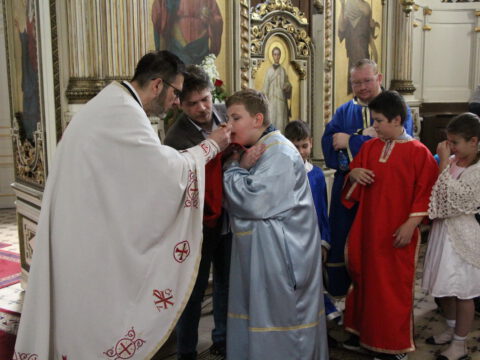 IMG_6281_resize_resize