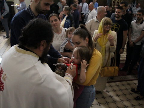 IMG_6282_resize_resize