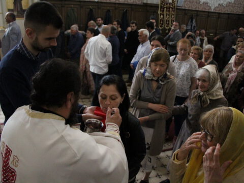 IMG_6286_resize_resize