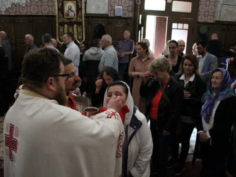 IMG_6289_resize_resize