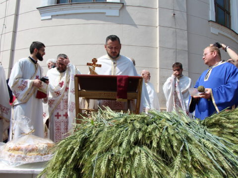 IMG_6311_resize_resize