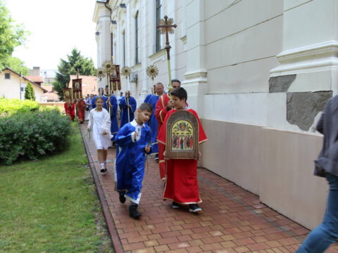 IMG_6337_resize_resize