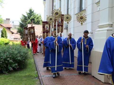 IMG_6338_resize_resize