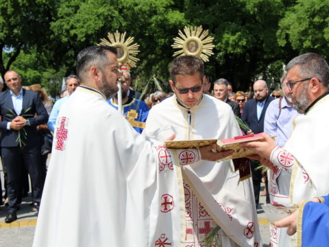 IMG_6422_resize_resize