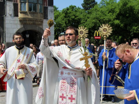 IMG_6438_resize_resize