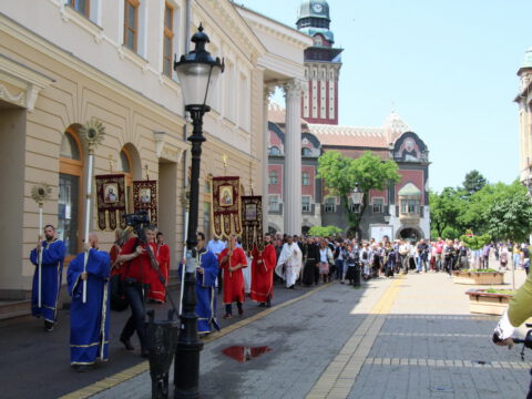 IMG_6447_resize_resize