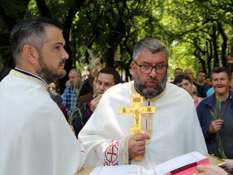 IMG_6503_resize_resize