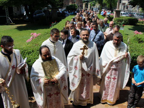 IMG_6545_resize_resize